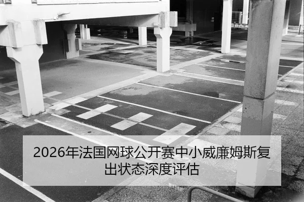 nian-fa-guo-wang-qiu-gong-kai-sai-zhong-xiao-wei-lian-mu-si-fu-chu-zhuang-tai-shen-du-ping-gu-2-931.jpg