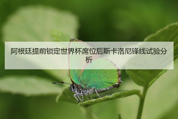 a-gen-ting-ti-qian-suo-ding-shi-jie-bei-xi-wei-hou-si-ka-luo-ni-feng-xian-shi-yan-fen-xi-2-923.jpg
