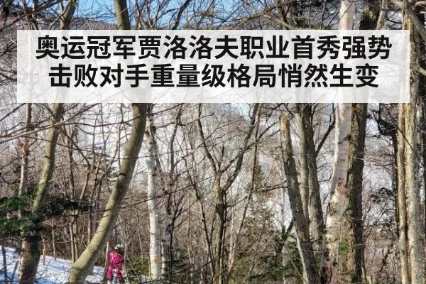 奥运冠军贾洛洛夫职业首秀强势击败对手重量级格局悄然生变